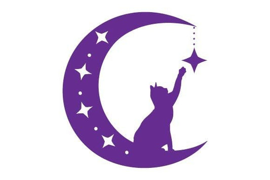 Silhouette of Cat Sitting on the Moon
